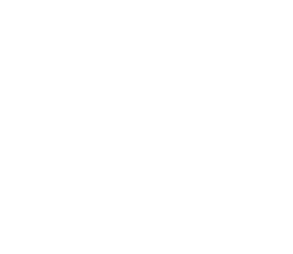 日本酒に合う肉料理・懐石料理なら静岡市葵区で人気な「肉割烹 巳峯」をご利用ください。